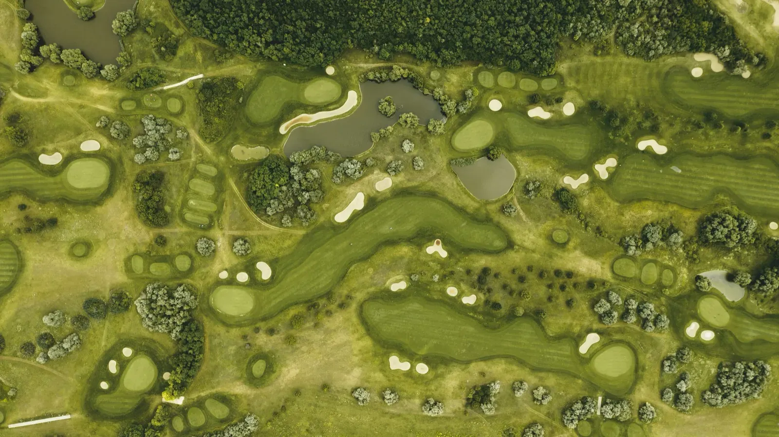 A golf hole seen from above with its playing route visible